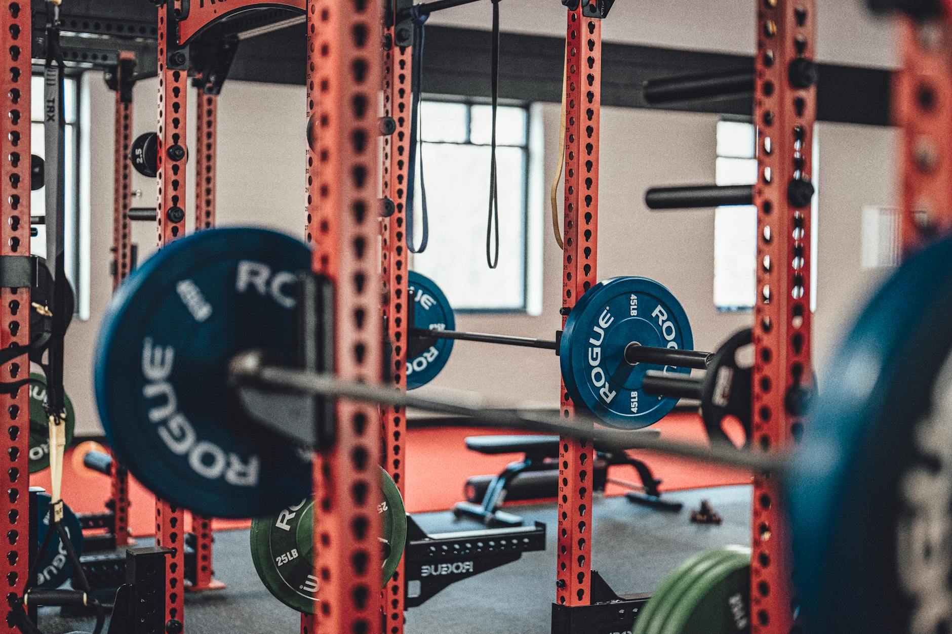 Alligatorpower Fitness Club contact