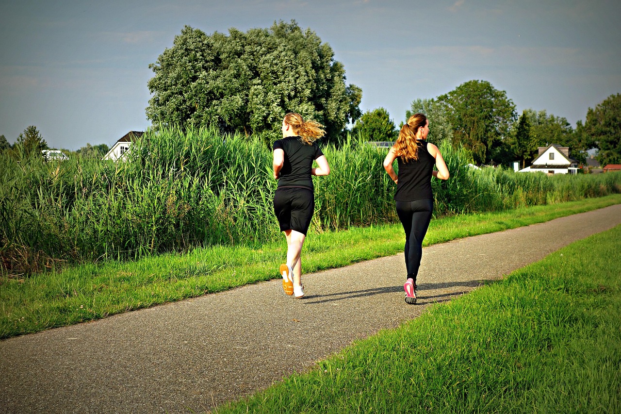 Alligatorpower Fitness Club footer